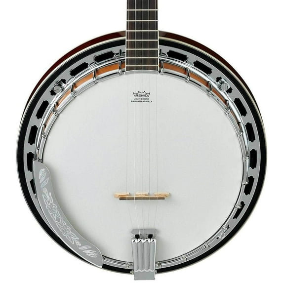 Ibanez Ibanez B200 5 String Banjo w/Basswood Rim