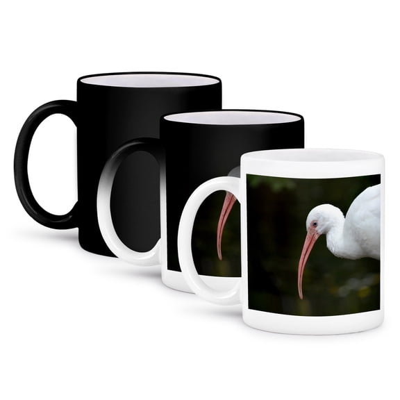 3dRose, ibis bird head down blue eye image, 11oz Magic Transforming Mug