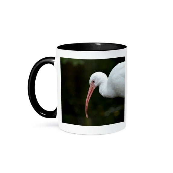 3dRose, ibis bird head down blue eye image, 11oz Two-Tone Black Mug