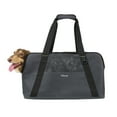 thumbnail image 1 of Ibiyaya Breezy Wanderer Fur-Free Pet Tote Bag (L), 1 of 6