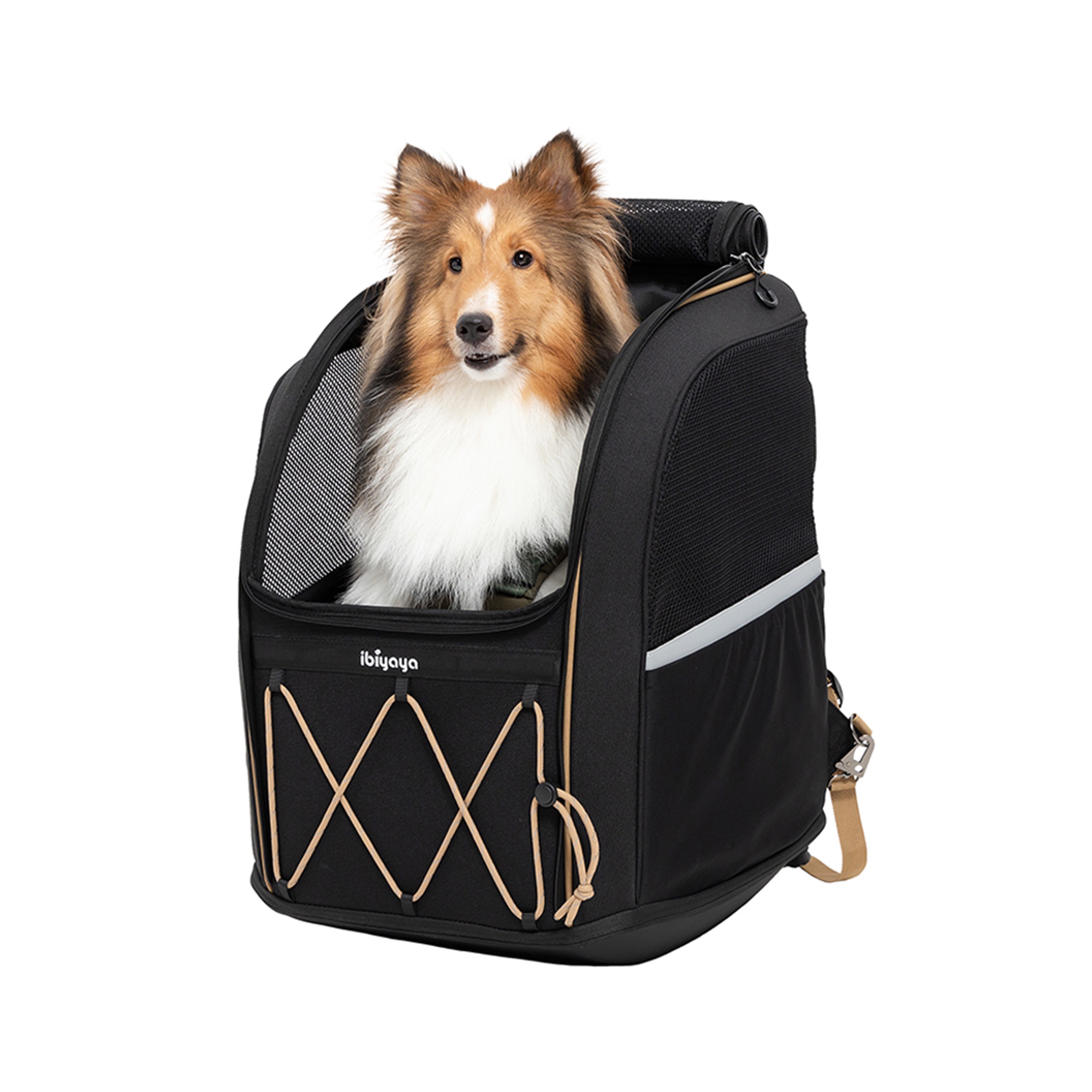 Large dog carrier bag hotsell