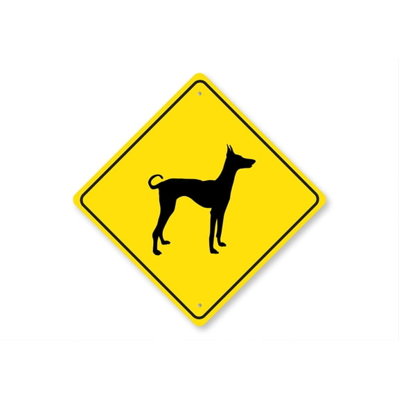 Ibizan Hound Dog Diamond Aluminum Metal Decor Sign - 12" x 12"