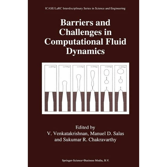 Icase Larc Interdisciplinary Science and Barriers and Challenges in Computational Fluid Dynamics, Book 6, (Paperback)