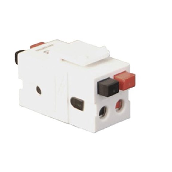 MODULE-SPEAKER-DUAL-FRONT/BACK BUTTON-WH BY ICC