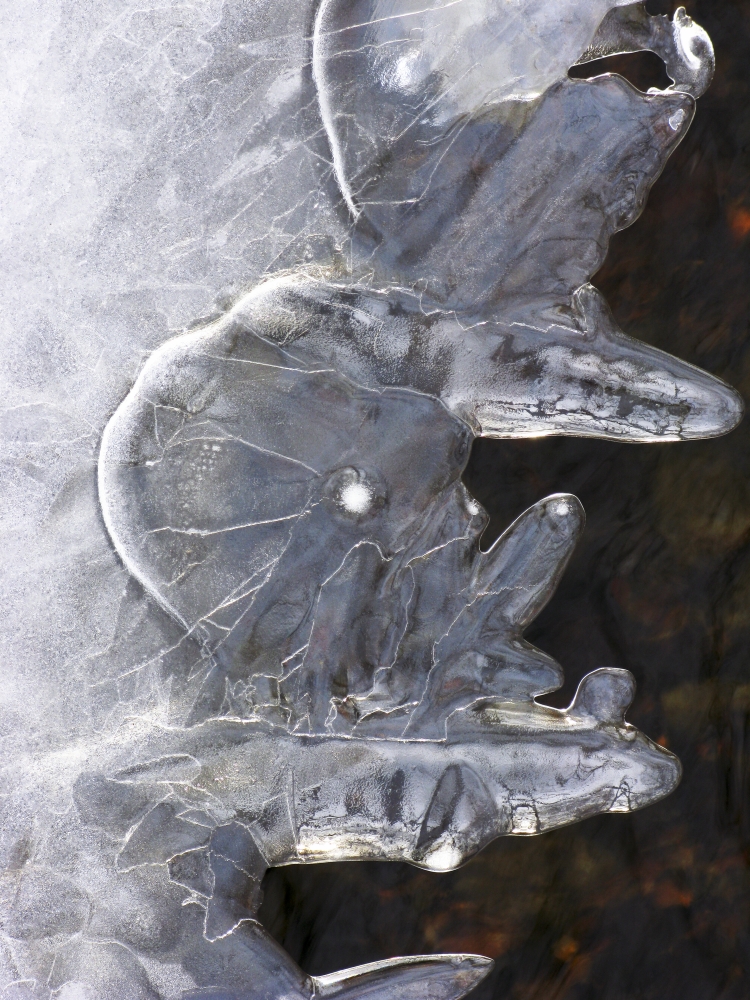 Ice Abstract 1 Massachusetts Seekonk Caratunk Wildlife Refuge Close-Up Of Pattern In Ice Canvas Art - Joanne Baldaia Design Pics (12 x 16)