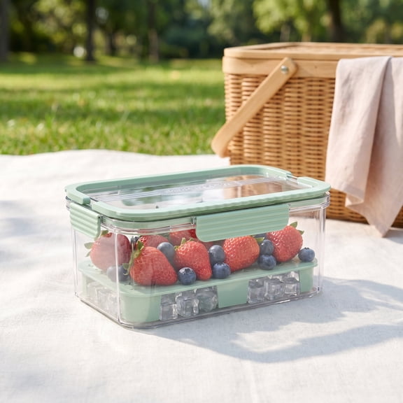 Ice Chilled Snackle Box with Ice Pack, Portable Food Storage Container for Fruits & Veggies, Airtight Cooler Tray with Lid & Handle, 9.455.914.53 in, Aemutady