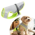 thumbnail image 1 of Ice Cooling Dog Vest Breathable Quick Dry Summer Heat Relief Jacket with Adjustable Strap Lightweight Pet Mesh Cool Shirt For Small Medium Dogs Outdoor Walking Hiking, 1 of 8