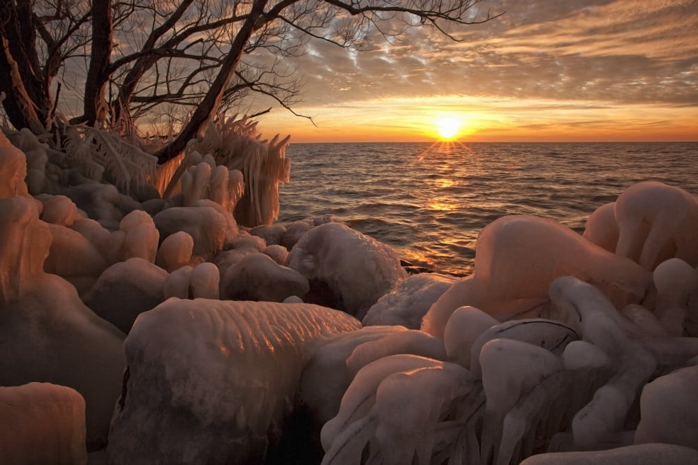 Ice-Covered Trees And Rocks Along The Shore Of Lake Erie In Point Pelee National Park Ontario Canada Canvas Art - Robert Postma Design Pics (36 x 24)