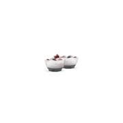 Host FREEZE Cooling Bowls for Ice Cream, Fruit Salad, Yogurt Set of 2, Gray
