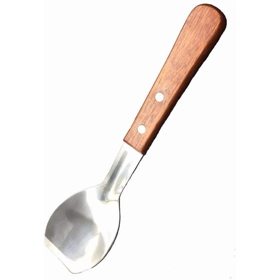 Ice Cream Metal Spade, 9 Inches Sweets Blade Scoop Wedding Buffet Cooking Tool for BBQ & Kitchen Cook Cake Scraper Stainless Spoon Shovel Large Ice Cream Scooper