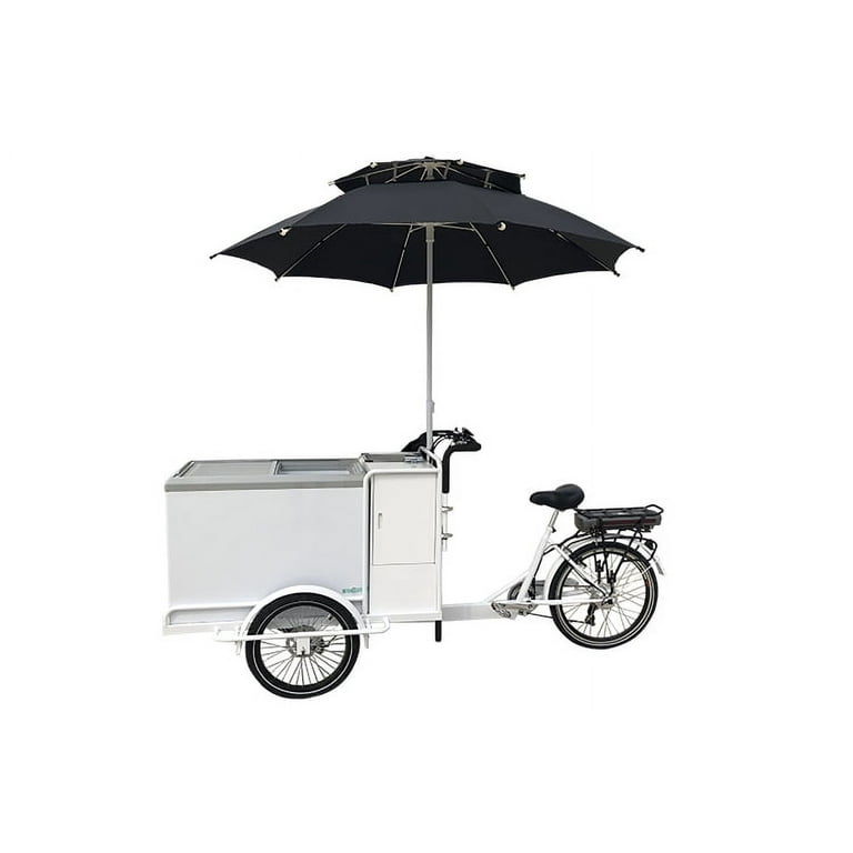 Ice trikes electric assist sale