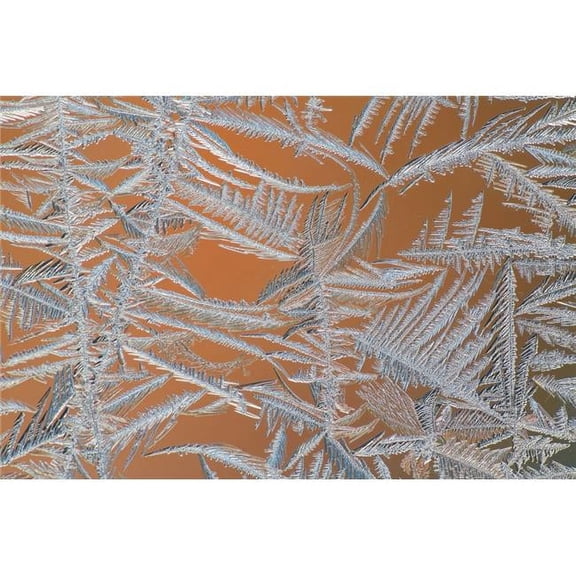 Ice Crystals On A Window - Whitehorse Yukon Canada Poster Print by Robert Postma - 19 x 12
