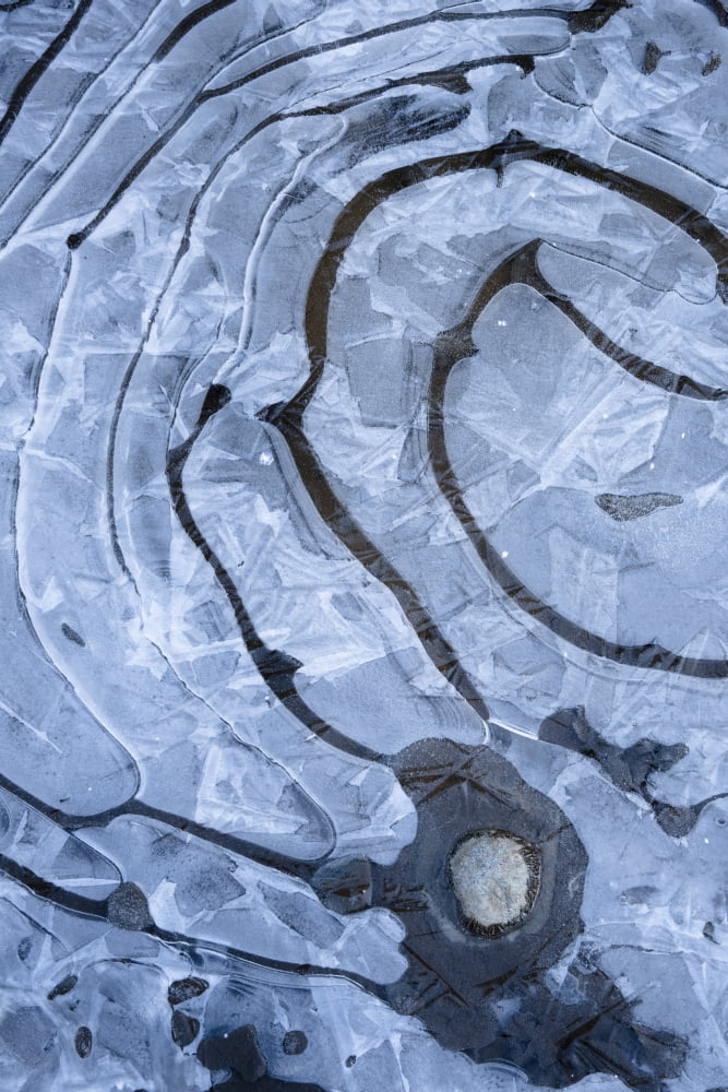 Ice Detail In Frozen Creek Chugach State Park Southcentral Alaska Winter Canvas Art - Carl R Battreall Design Pics (12 x 19)