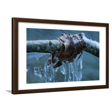 Ice Figures With Oak Leaves Over Creek Framed Print Wall Art By Anthony Paladino