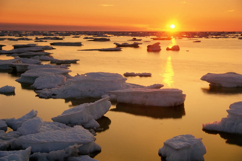 Ice Floes And Sunset Hudson Bay Churchill Manitoba Canvas Art - Mike Grandmaison Design Pics (18 x 12)
