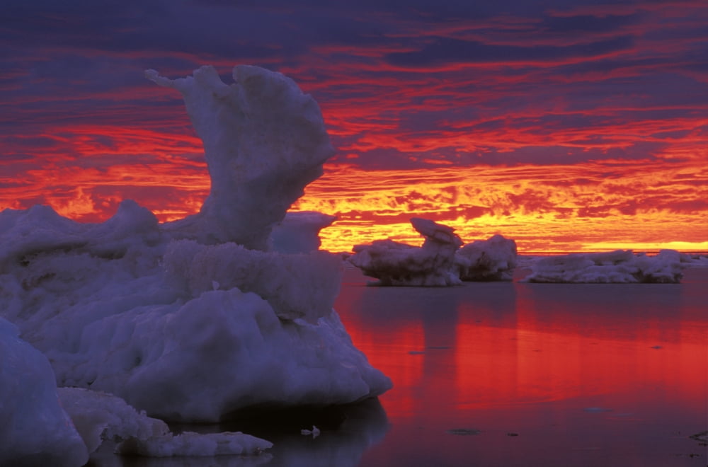 Ice Floes On Hudson Bay Dusk Churchill Manitoba Canvas Art - Mike Grandmaison Design Pics (17 x 11)