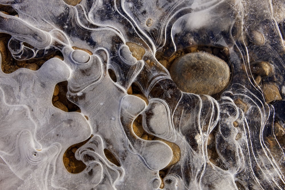 Ice Forms Along The Shoreline Of A Small Pond In Alaskas Tongass Forest Canvas Art - John Hyde Design Pics (36 x 24)