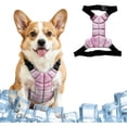 thumbnail image 1 of Ice Gel Dog Cooling Vest, Adjustable Waterproof Pet Cool Harness Prevent Heatstroke for Hot Summer Walking, 1 of 6