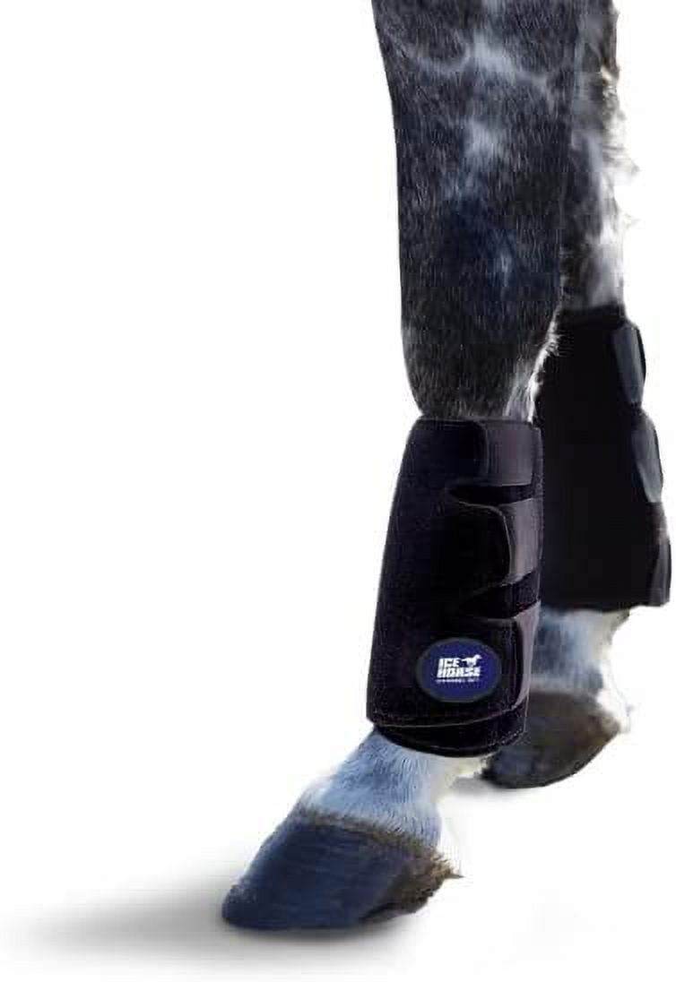 Ice Horse Single Tendon Leg Wrap for Equine Therapy Comes with 2 Ice