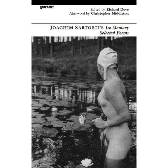 Ice Memory, Selected Poems (Paperback)