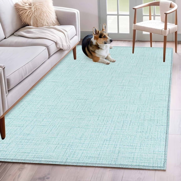 Ice Mint Area Rug 3x5 FT, Non Slip Entryway Bedside Carpet, Rustic Farmhouse Solid Color Washable Soft Floor Carpet Indoor Mat Non-Shedding Throw Rug for Dorm Kitchen Home Office
