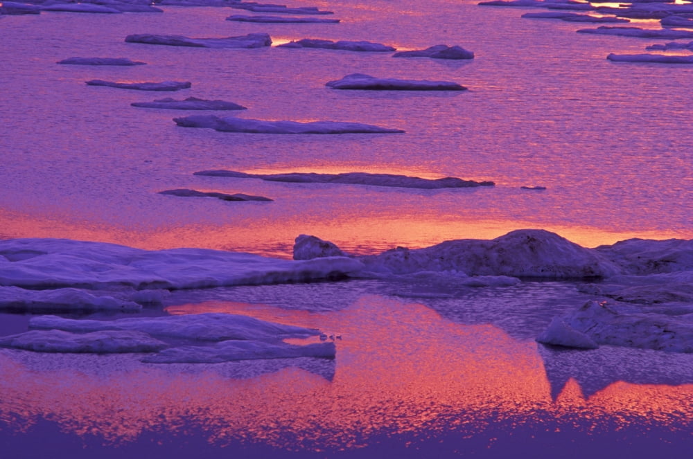 Ice On Hudson Bay Coastline At Sunset Churchill Manitoba Canvas Art - Mike Grandmaison Design Pics (17 x 11)