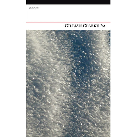 Ice (Paperback)