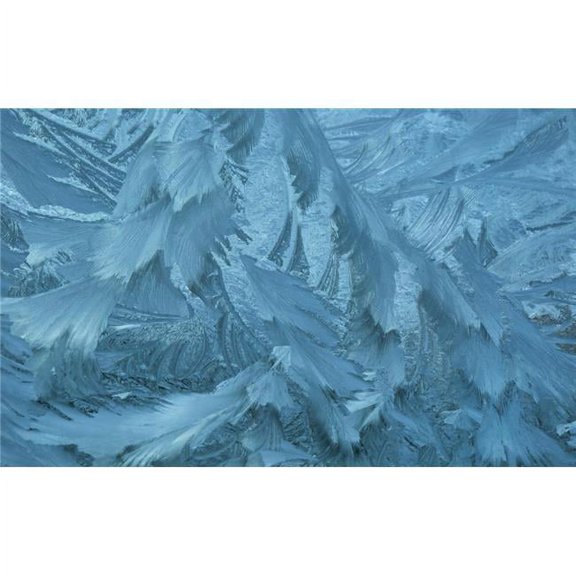 Ice Patterns Formed on Glass After A Hard Frost - Nelson Wakefield New Zealand Poster Print - 38 x 24 in. - Large