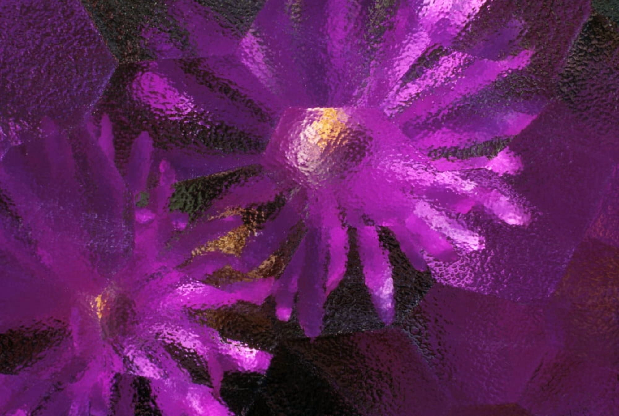 Ice Plant Blossoms Under Ice Canvas Art - Natural Selection Chris Pinchbeck Design Pics (36 x 24)