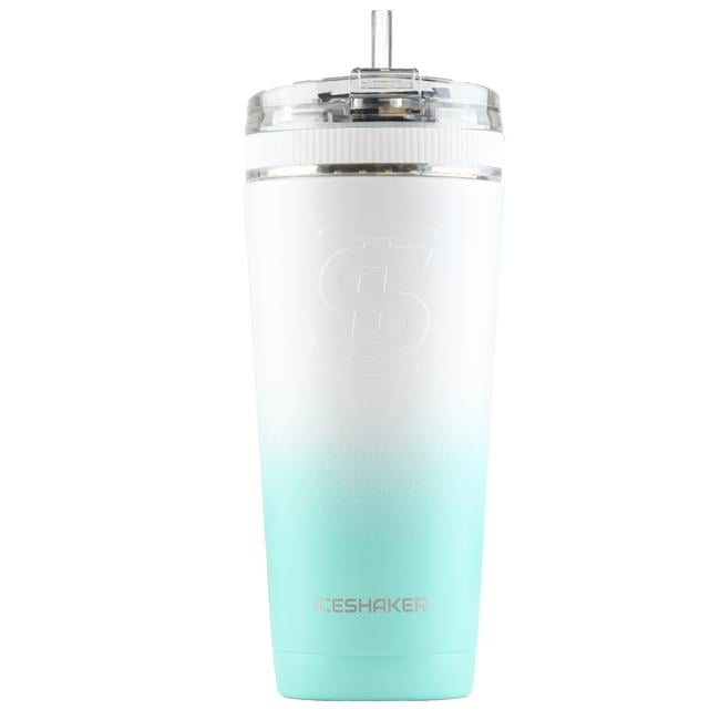 Ice Shaker 26oz Bottle - Stainless Steel