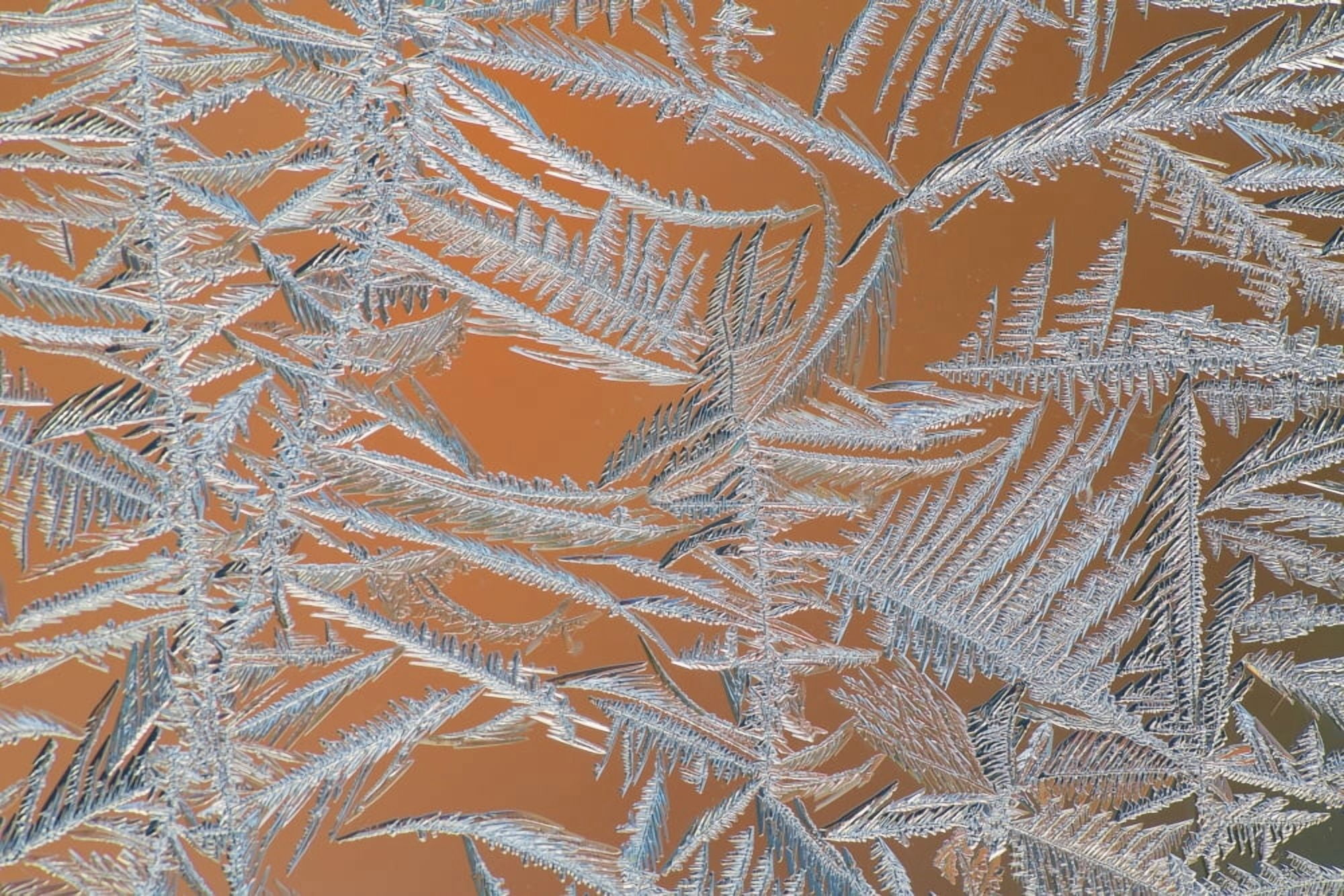 Ice crystals on a window Whitehorse Yukon Canada Canvas Art - Robert Postma Design Pics (38 x 24)
