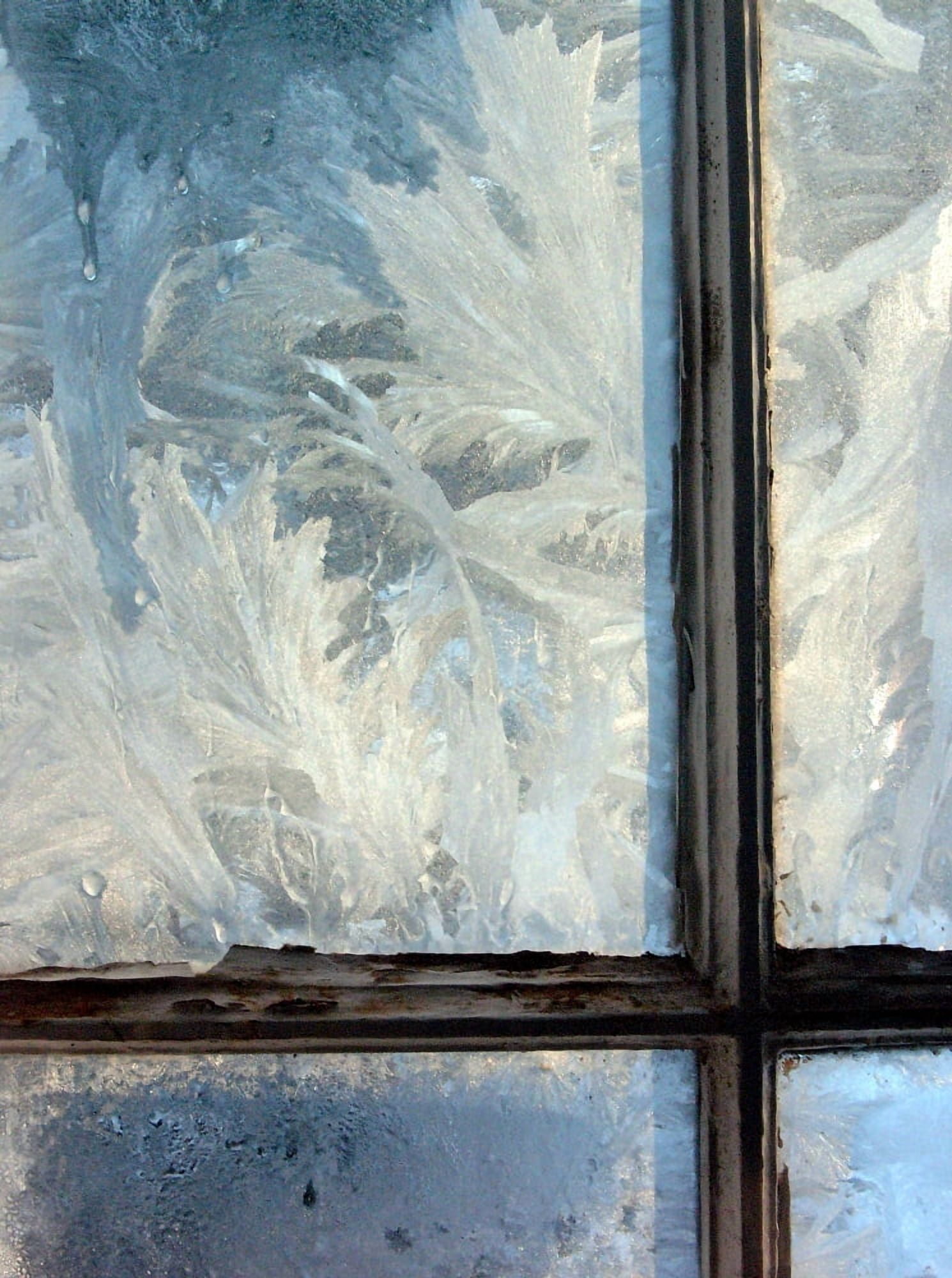 Ice crystals on windowpanes Canvas Art - Panoramic Images (36 x 24)