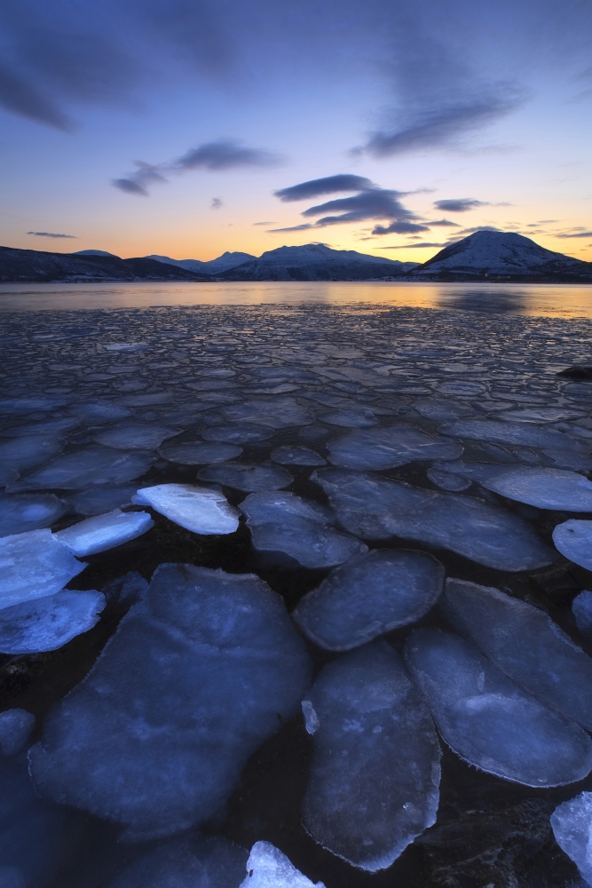 Ice flakes drifting towards the mountains on Tjeldoya Island Norway Canvas Art - Arild HeitmannStocktrek Images (23 x 35)