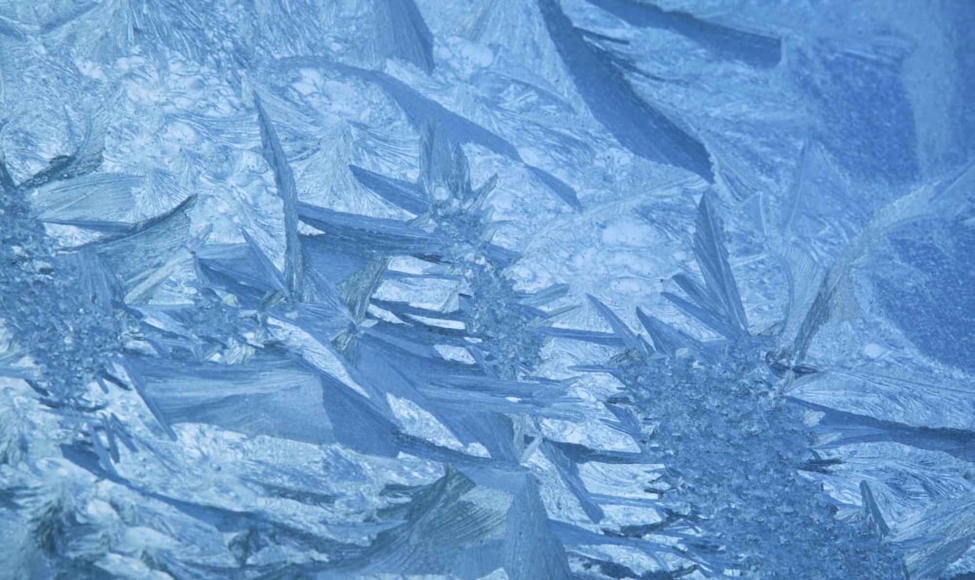 Ice patterns formed on glass after a hard frost Nelson Wakefield New Zealand Canvas Art - Nicola M Mora Design Pics (20 x 11)