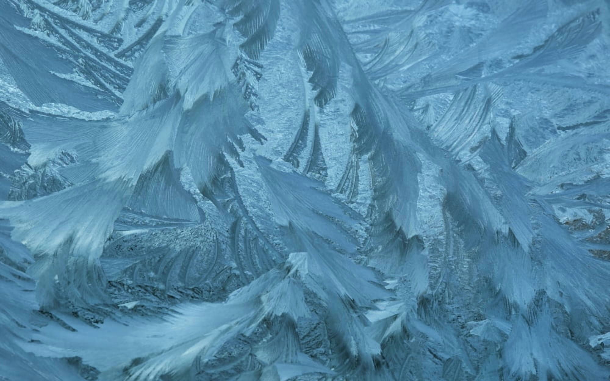 Ice patterns formed on glass after a hard frost Nelson Wakefield New Zealand Canvas Art - Nicola M Mora Design Pics (38 x 24)