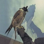 Iceage - YouRe Nothing - Vinyl