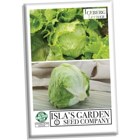 Iceberg Lettuce Seeds, 2500 Heirloom Seeds Per Packet, Non GMO Seeds, Isla's Garden Seeds
