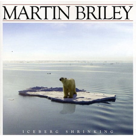 Iceberg Shrinking