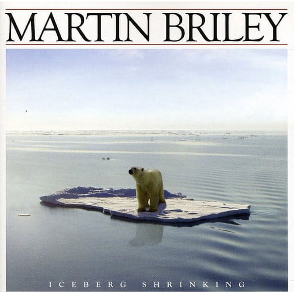 Iceberg Shrinking