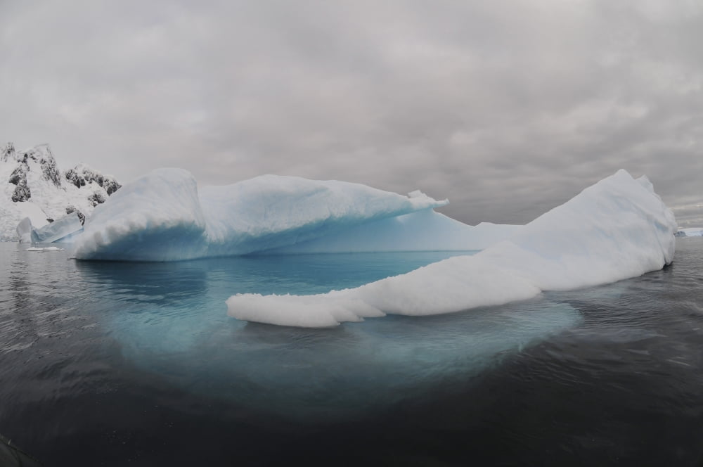 Iceberg swimming pool Antarctica Canvas Art - Mathieu MeurStocktrek Images (18 x 12)
