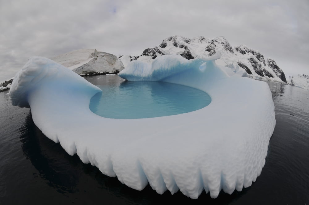 Iceberg swimming pool Antarctica Canvas Art - Mathieu MeurStocktrek Images (18 x 12)
