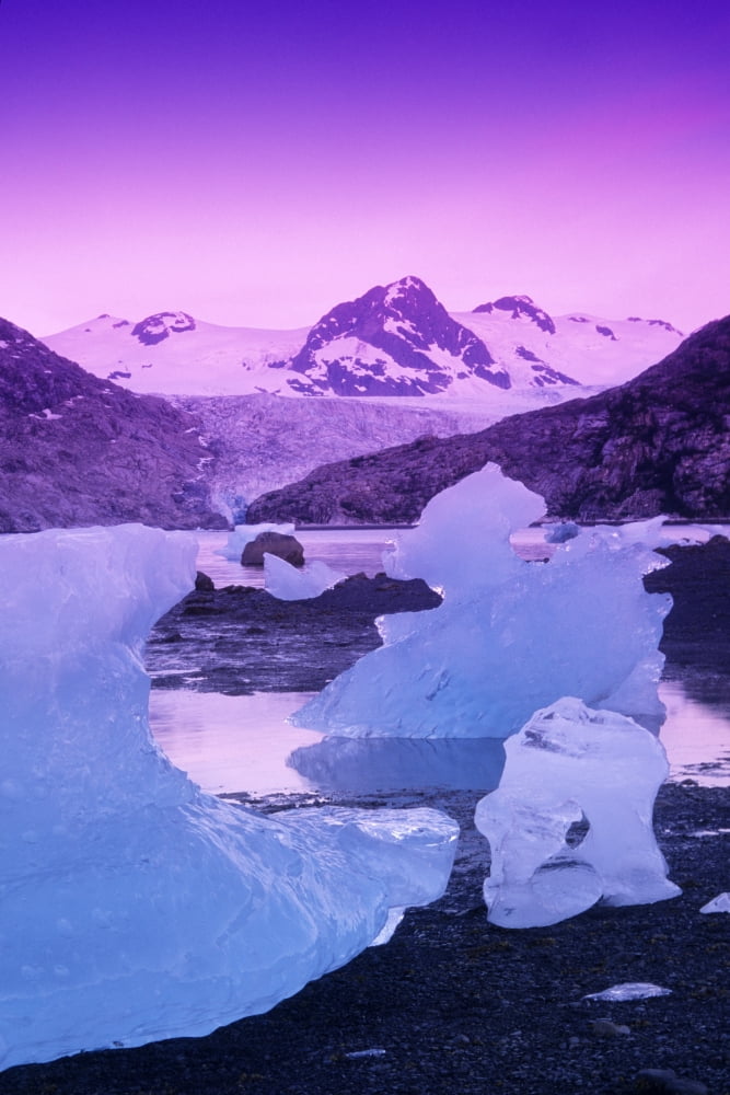 Icebergs At Nellie Juan Glacier Derickson Bay Pws Canvas Art - Kevin Smith Design Pics (22 x 34)