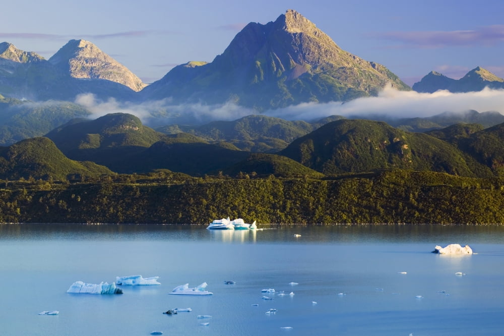 Icebergs Floating In Alsek Lake WStElias Mountains Glacier Bay National Park Tongass Nat Forest Alaska Canvas Art - Michael DeYoung Design Pics (17 x 11)