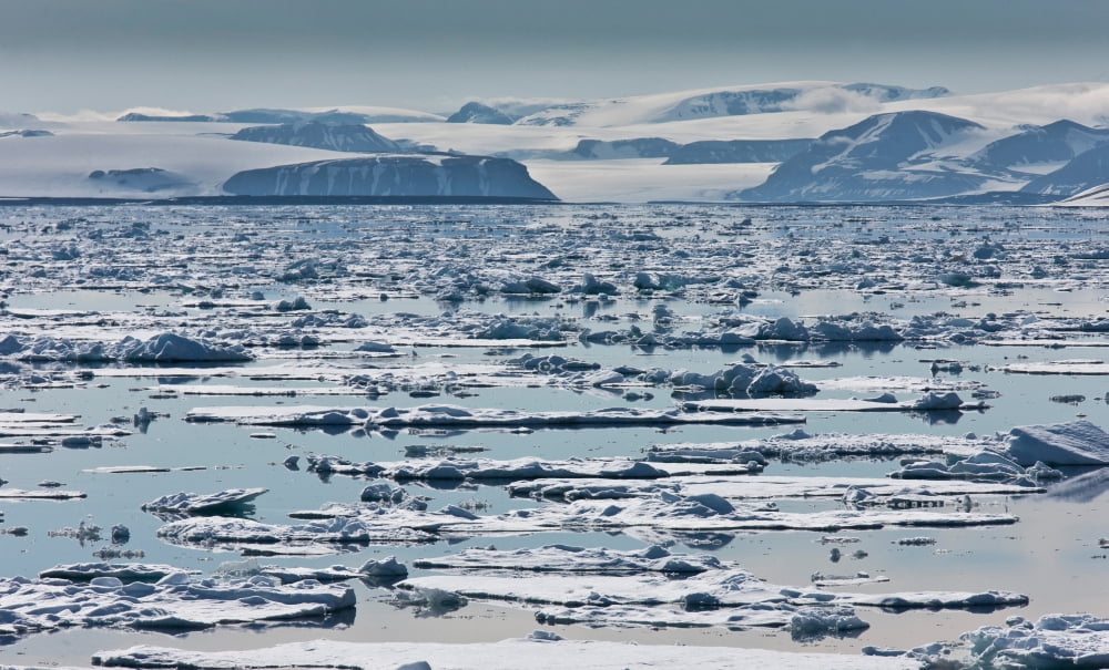 Icebergs Hinlopen Strait Spitsbergen Island Svalbard Norway Canvas Art - Panoramic Images (20 x 12)