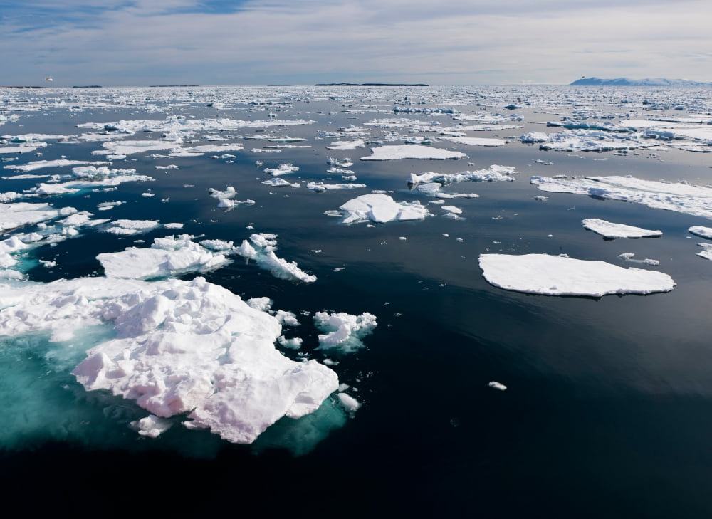 Icebergs Hinlopen Strait Spitsbergen Island Svalbard Norway Canvas Art - Panoramic Images (36 x 12)