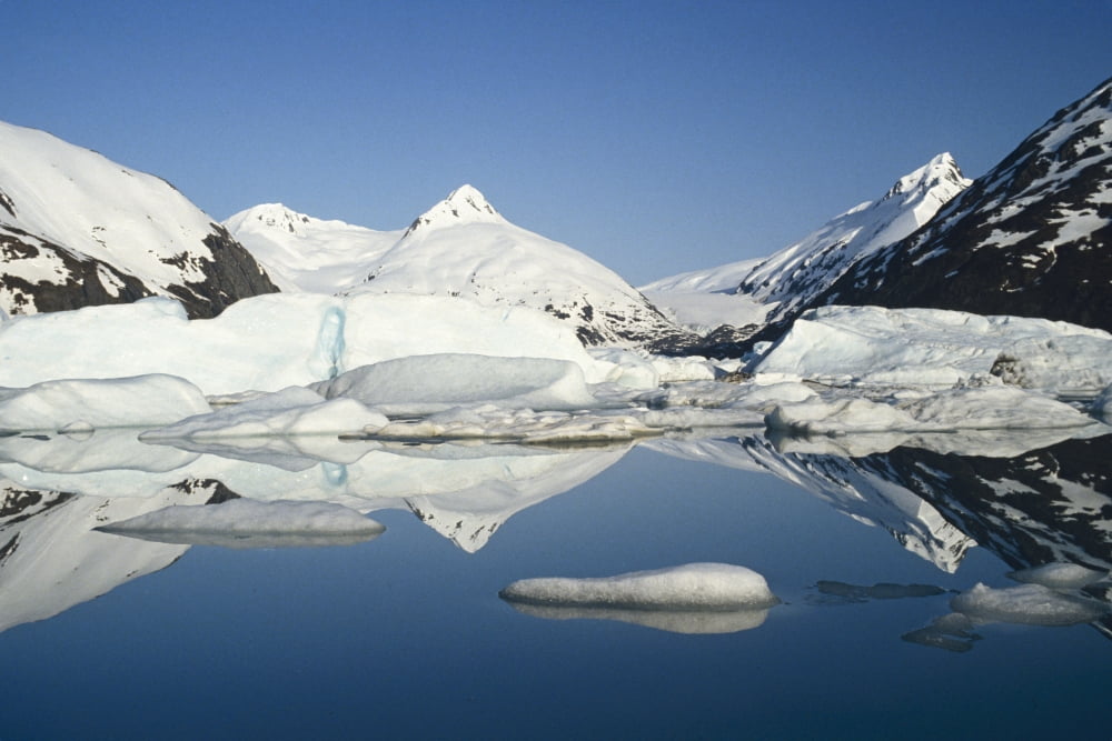 Icebergs In Lake Portage Glacier Southcentral Alaska Canvas Art - Danny Daniels Design Pics (34 x 22)