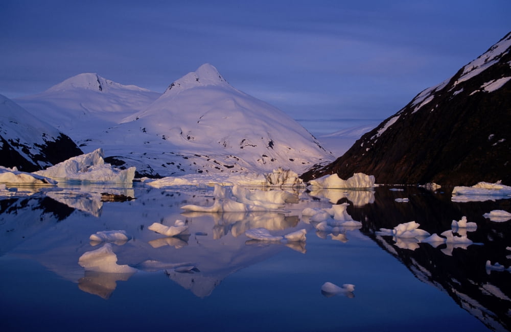 Icebergs In Portage Lake Bard Peak Chugach Mtns Sc Winter Canvas Art - Calvin Hall Design Pics (17 x 11)