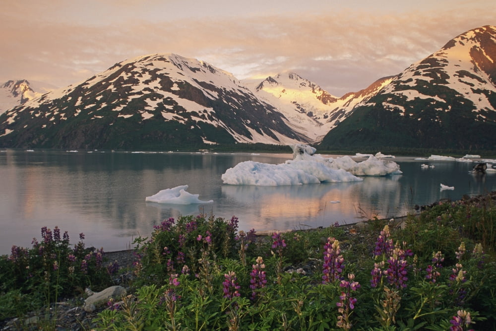 Icebergs In Portage Lake Below Byron Peak Sc Alaska Canvas Art - Michael DeYoung Design Pics (19 x 12)