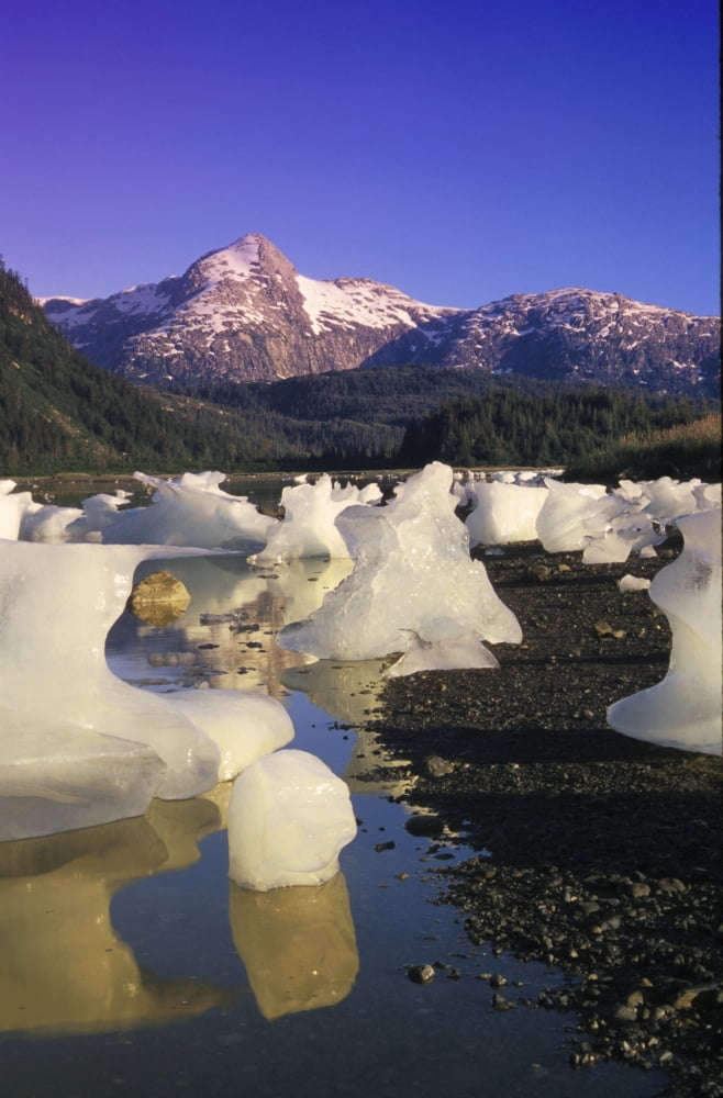 Icebergs On Beach Derickson Bay Prince William Sound Sc Canvas Art - Kevin Smith Design Pics (11 x 17)