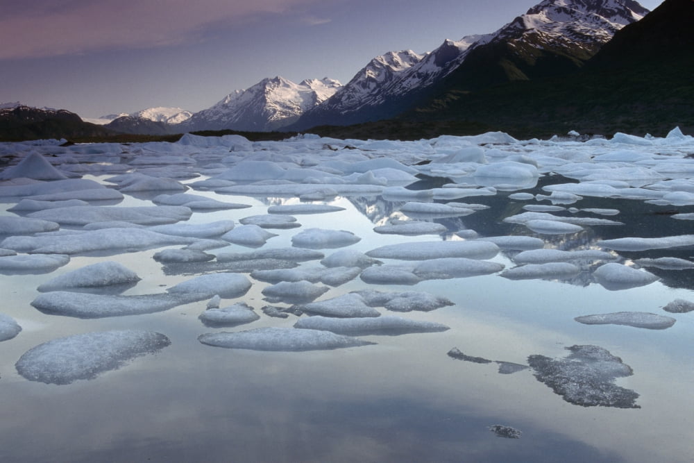Icebergs On Lake George Chugach Mtns Sc Ak Summer Canvas Art - Jeff Schultz Design Pics (19 x 12)